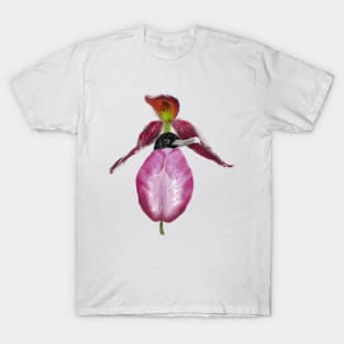 Magnificent Frigatebird + Lady Slipper Orchid T-Shirt